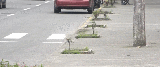 MORADORES DE LA LORENA INSTALAN VALLAS POR INSEGURIDAD Y PIDEN POLICÍA