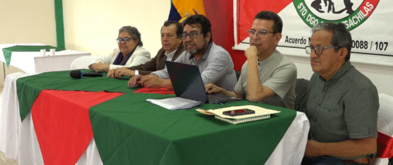 LOS ARTESANOS BUSCAN QUE SE REALICEN NUEVAS ELECCIONES