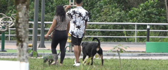 CIUDADANOS DENUNCIAN PRESENCIA DE EXCREMENTO DE PERROS EN EL PARQUE JELEN TENKA