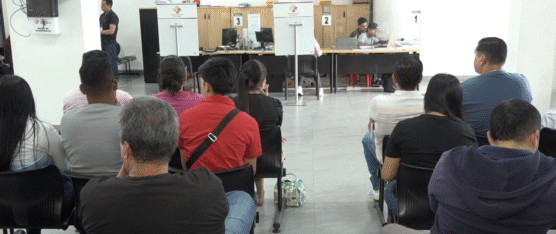 FALLAS EN LA PLATAFORMA DE LA ANT AFECTAN TRÁMITES EN SANTO DOMINGO