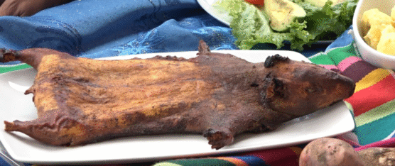 FESTIVAL GASTRONÓMICO DEL CUY SE REALIZARÁ ESTE DOMINGO EN JELEN TENKA