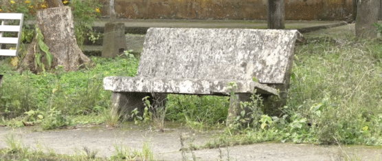 UN ÁREA RECREATIVA NECESITA MANTENIMIENTO EN LA URB. MARISCAL SUCRE