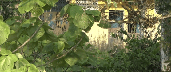 MORADORES DE SANTA ISABEL REFUERZAN SEGURIDAD ANTE AUMENTO DE DELITOS