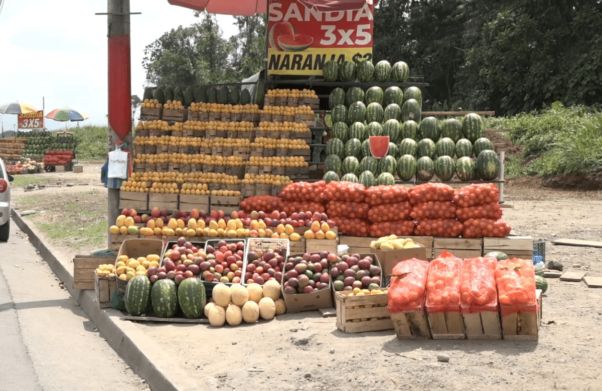 TEMPORADA DEL MANGO IMPULSA LAS VENTAS HASTA EN UN 20 POR CIENTO