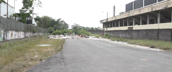 LA CALLE FRANKLIN PALLO PALLO ESTÁ LLENA DE DESPERDICIOS