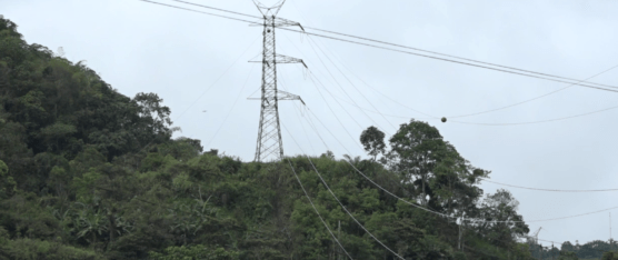 ESTADO ASUMIRÁ DIFERENCIAL TARIFARIO DE ENERGÍA PARA EL AÑO 2026