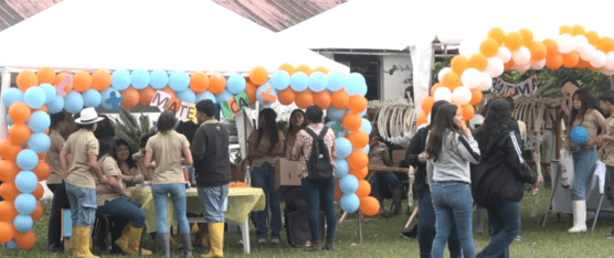 SE REALIZÓ LA FERIA DE PROYECTOS INTEGRADORES DE SABERES