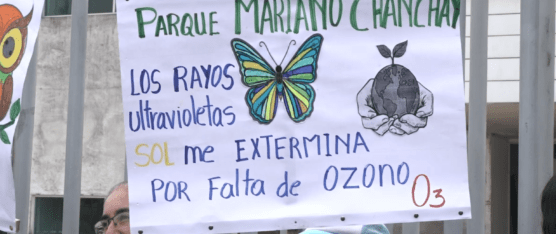 COLECTIVOS AMBIENTALISTAS IMPUGNAN SUBASTA DE 27 PREDIOS MUNICIPALES