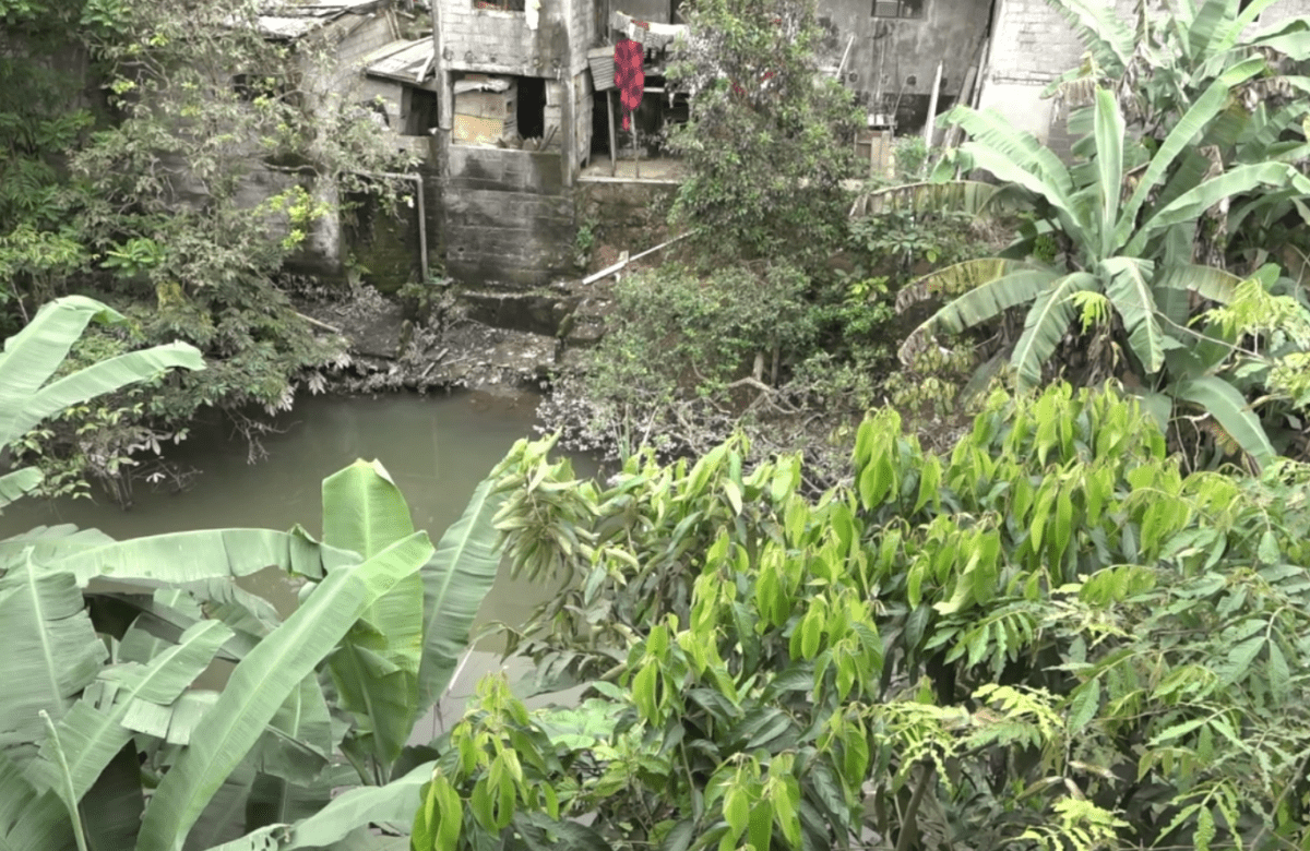 LAGUNA DE AGUAS LLUVIAS PREOCUPA A HABITANTES DEL SECTOR IERAC 53