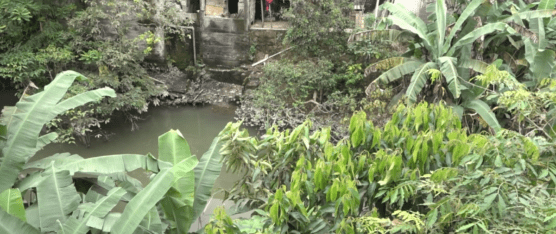 LAGUNA DE AGUAS LLUVIAS PREOCUPA A HABITANTES DEL SECTOR IERAC 53
