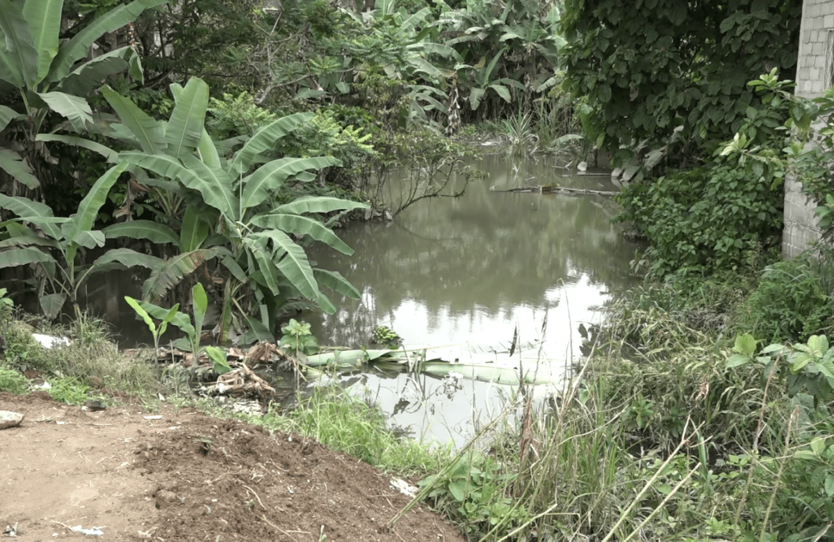 LAS AFECTACIONES POR LAS LLUVIAS CONTINÚAN EN SAN VICENTE DE PAÚL