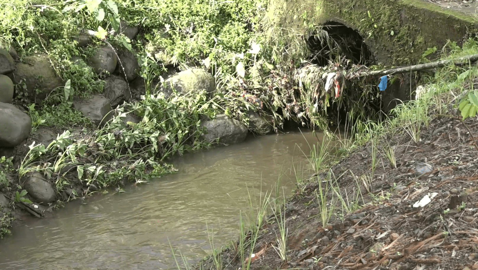 EL RÍO CODE SE DESBORDÓ Y CAUSÓ INUNDACIONES EN CIUDAD NUEVA