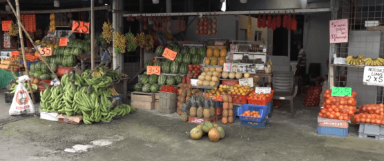 LAS VENTAS FUERON BAJAS DURANTE EL FERIADO EN CHIGÜILPE