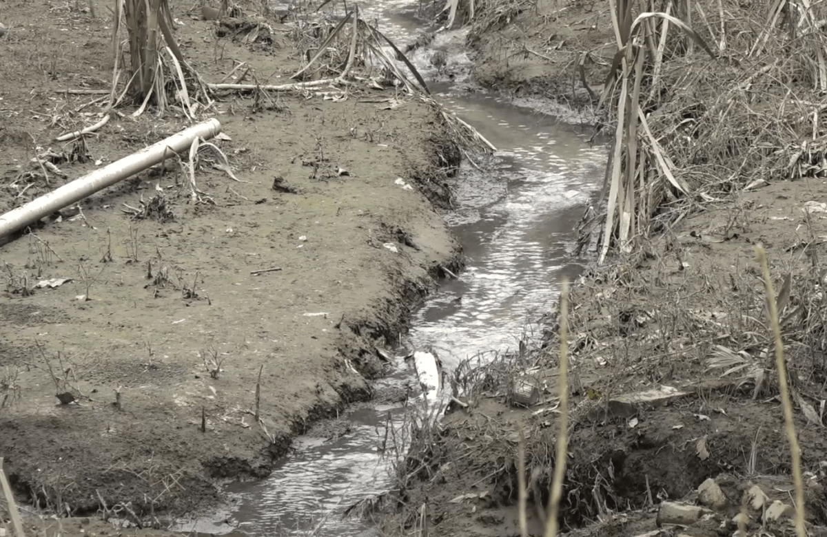 CINCO VIVIENDAS AFECTADAS POR PROBLEMA DE ALCANTARILLADO EN SAN VICENTE DE PAÚL