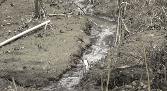 CINCO VIVIENDAS AFECTADAS POR PROBLEMA DE ALCANTARILLADO EN SAN VICENTE DE PAÚL