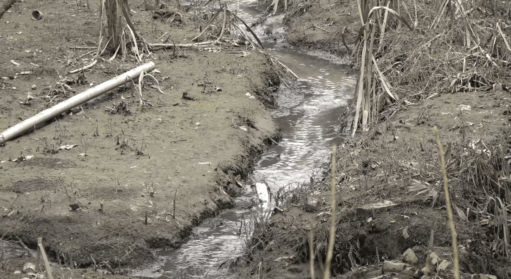 CINCO VIVIENDAS AFECTADAS POR PROBLEMA DE ALCANTARILLADO EN SAN VICENTE DE PAÚL