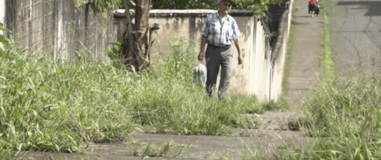 LA MALEZA GANA ESPACIO EN LAS CALLE DE LA NUEVO SANTO DOMINGO