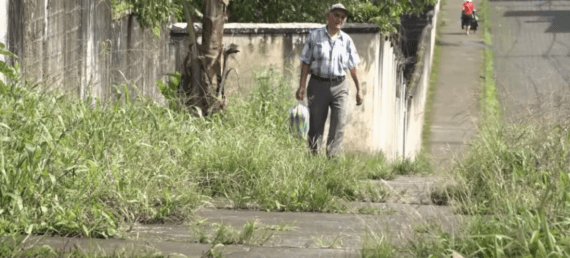 LA MALEZA GANA ESPACIO EN LAS CALLE DE LA NUEVO SANTO DOMINGO