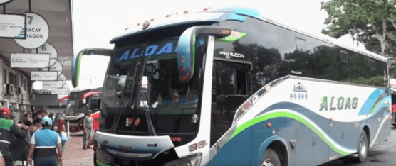 TRANSPORTISTAS SE VEN AFECTADOS TRAS EL FIN DE LAS COMPENSACIONES DEL GOBIERNO