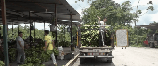 LOS COMERCIANTES DENUNCIAN PROBLEMAS EN EL SERVICIO DE RECOLECCIÓN