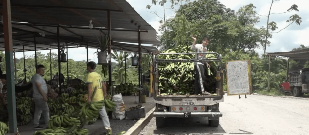 LOS COMERCIANTES DENUNCIAN PROBLEMAS EN EL SERVICIO DE RECOLECCIÓN