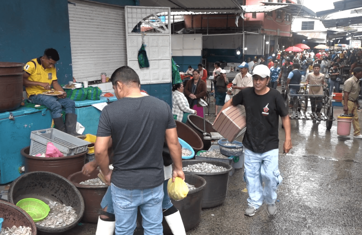 EN UN 40% HAN INCREMENTADO LOS PRECIOS DE VARIOS MARISCOS