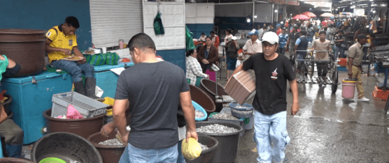 EN UN 40% HAN INCREMENTADO LOS PRECIOS DE VARIOS MARISCOS