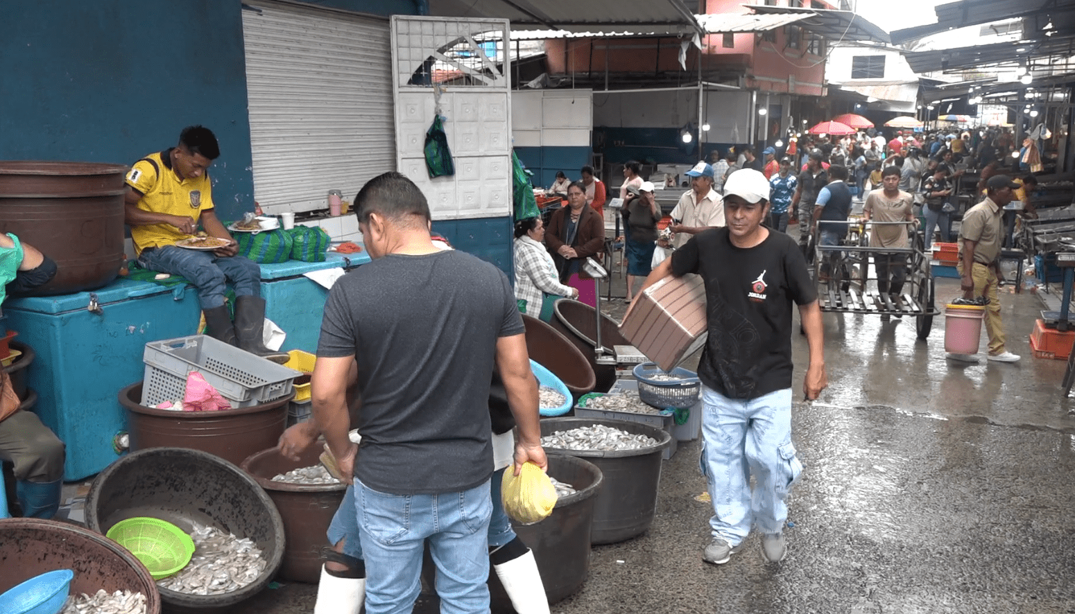 EN UN 40% HAN INCREMENTADO LOS PRECIOS DE VARIOS MARISCOS