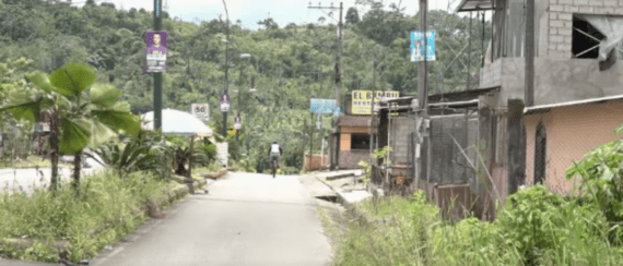 LA MALEZA HA GANADO TERRENO EN LOS PARTERRES DE LA VÍA AVENTURA