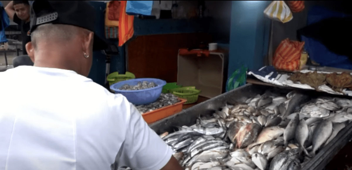 LOS PRECIOS DE LOS MARISCOS HAN INCREMENTADO HASTA UN 40%