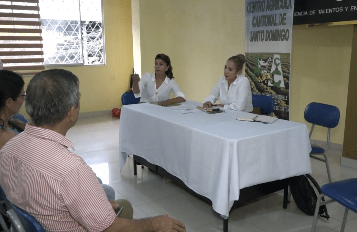 LAS ENFERMEDADES ESTÁN DAÑANDO LAS PLANTACIONES DE PLÁTANO