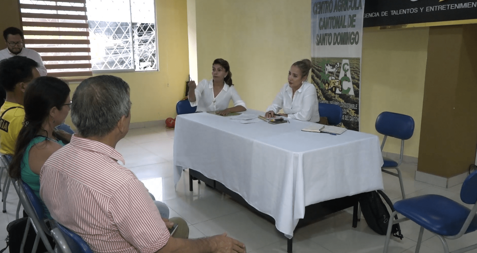 LAS ENFERMEDADES ESTÁN DAÑANDO LAS PLANTACIONES DE PLÁTANO