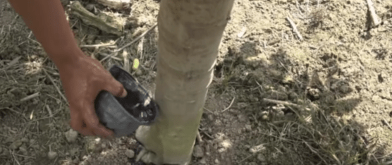 TENSIÓN ENTRE EEUU E IRÁN IMPACTA AL AGRO ECUATORIANO