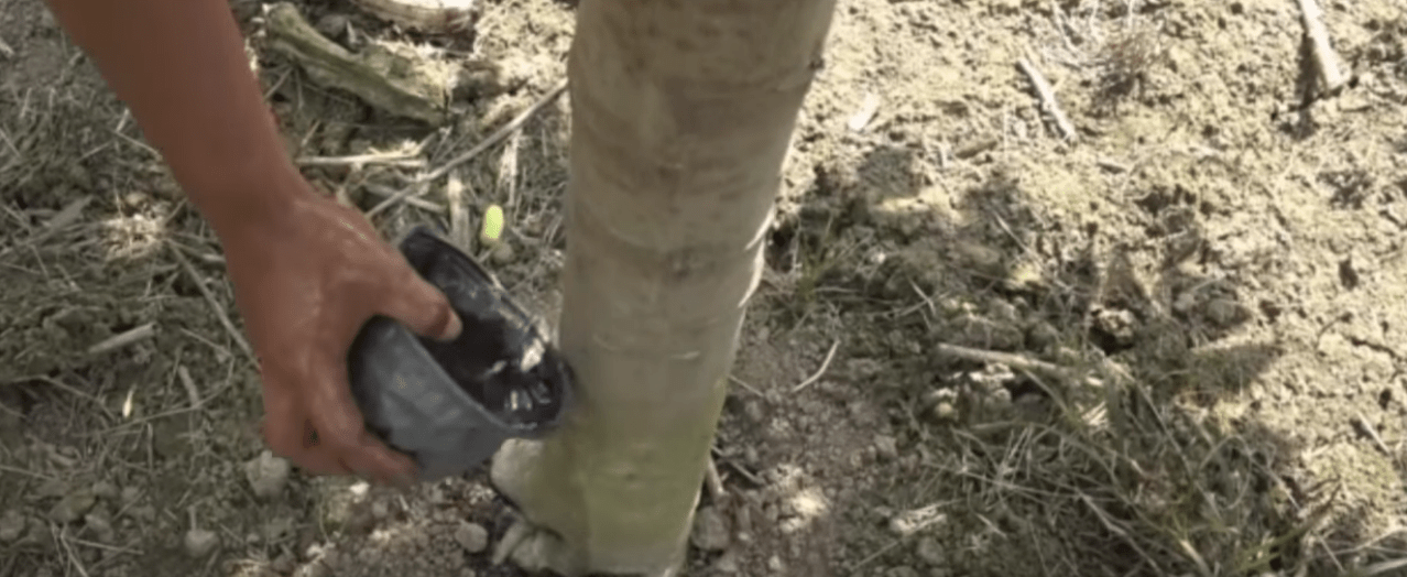 TENSIÓN ENTRE EEUU E IRÁN IMPACTA AL AGRO ECUATORIANO