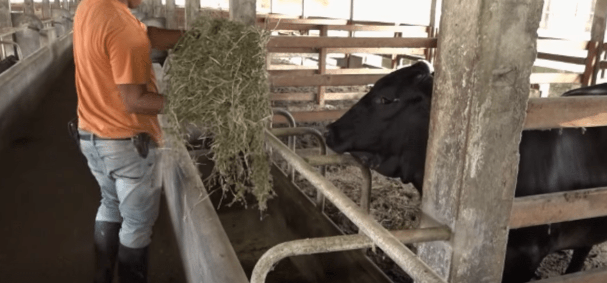 LA CÁMARA DE INDUSTRIAS EXIGE REVISIÓN DE LA TARIFA DE LA BASURA
