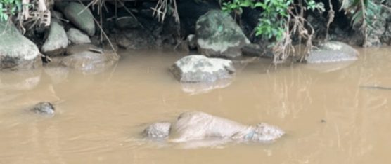 UN HOMBRE FUE LOCALIZADO SIN VIDA EN EL BARRIO ZARACAY