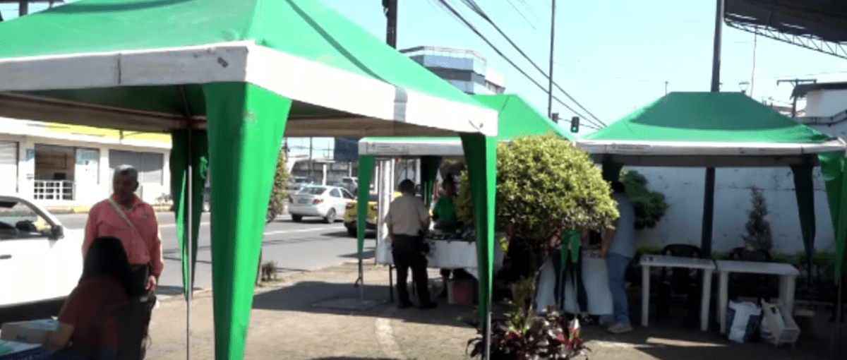 LA FERIA SABORES Y SABERES SE REALIZA UNA VEZ DE CADA MES