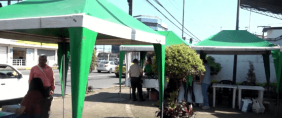 LA FERIA SABORES Y SABERES SE REALIZA UNA VEZ DE CADA MES