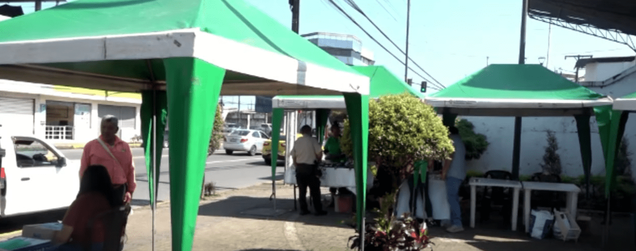 LA FERIA SABORES Y SABERES SE REALIZA UNA VEZ DE CADA MES