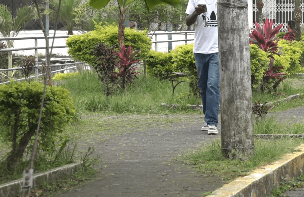 LA MALEZA HA GANADO TERRENO EN EL PARQUE LINEAL MANUEL RAMOS