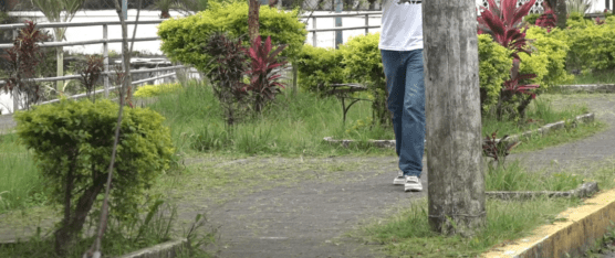 LA MALEZA HA GANADO TERRENO EN EL PARQUE LINEAL MANUEL RAMOS