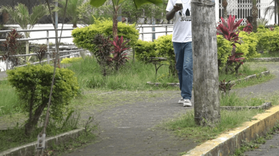 LA MALEZA HA GANADO TERRENO EN EL PARQUE LINEAL MANUEL RAMOS