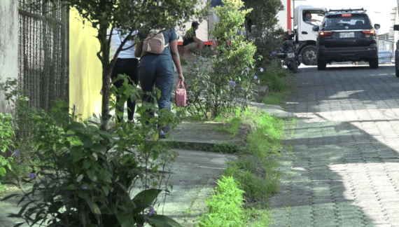 FALTA DE MANTENIMIENTO AFECTA LA CALLE CHORRERA DEL NAPA