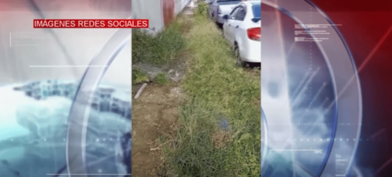 LA MALEZA EN LAS VEREDAS DIFICULTA EL PASO DE LOS PEATONES