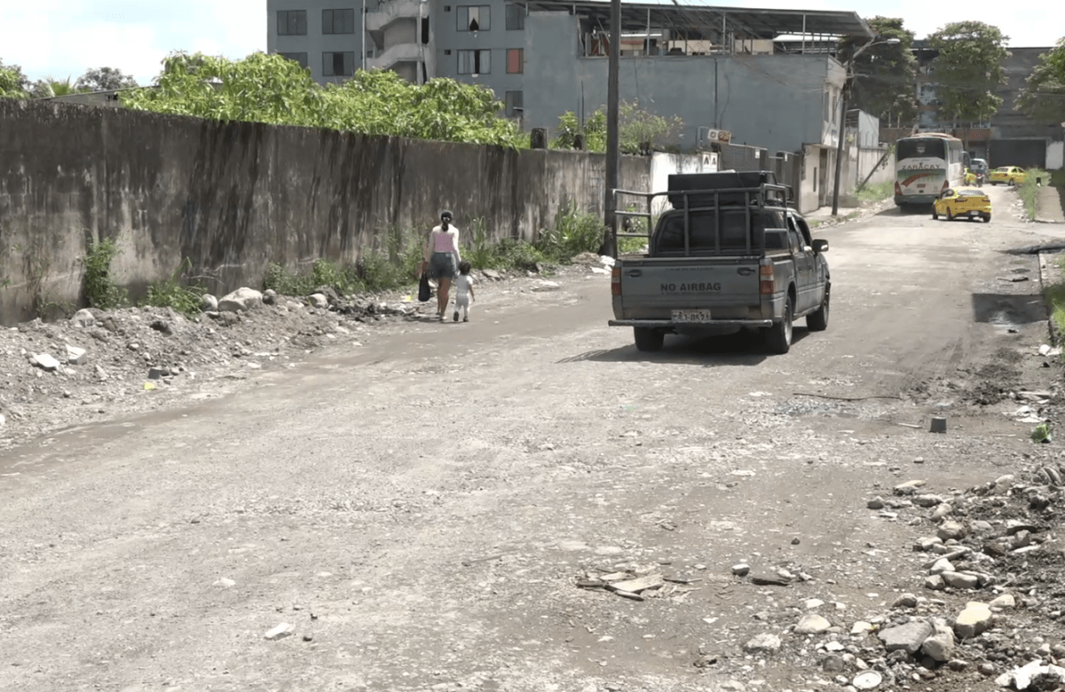 TRONCO A PUNTO DE COLAPSAR GENERA TEMOR EN CAMINOS VECINALES