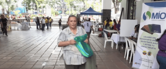 EL PROYECTO DE ORDENANZA BUSCA SALVAR EL BOMBOLÍ