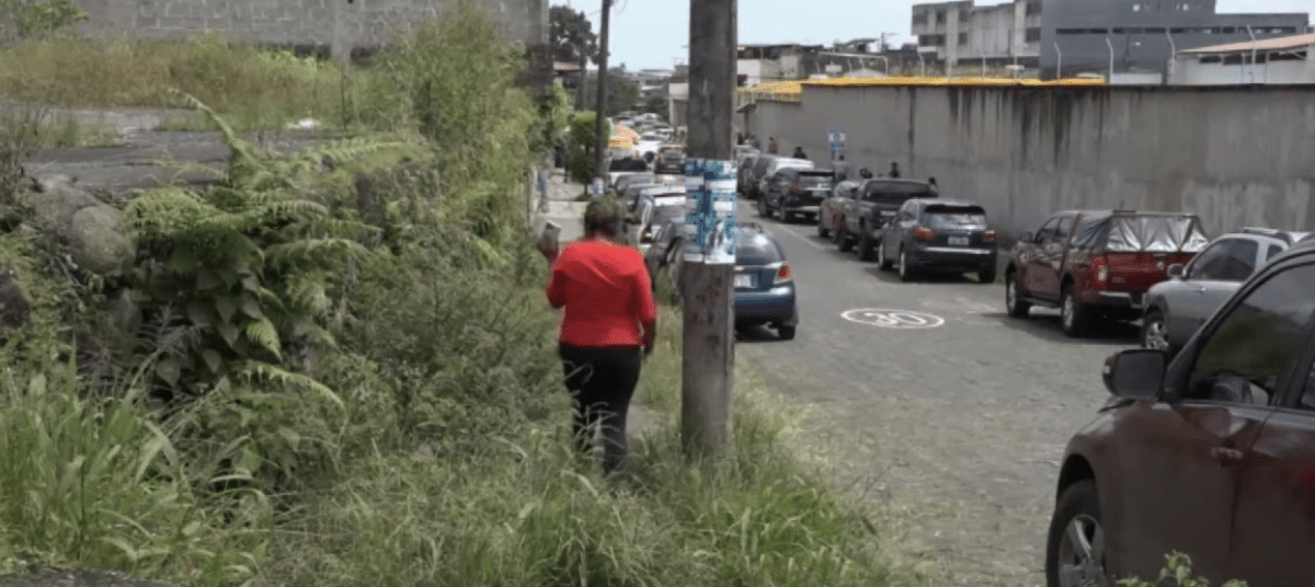 LA CANTIDAD DE MALEZA DIFICULTA CAMINAR POR LA VEREDA