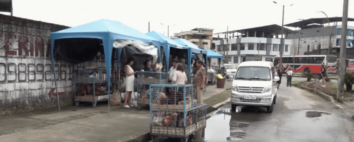 LA ASOCIACIÓN PAVO REAL FUE REUBICADA POR LAS FIESTAS