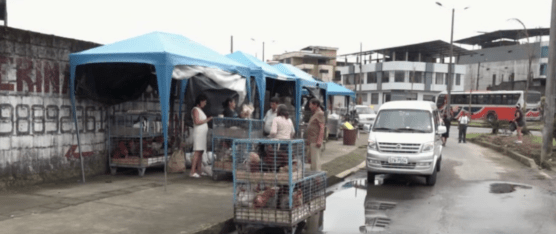 LA ASOCIACIÓN PAVO REAL FUE REUBICADA POR LAS FIESTAS