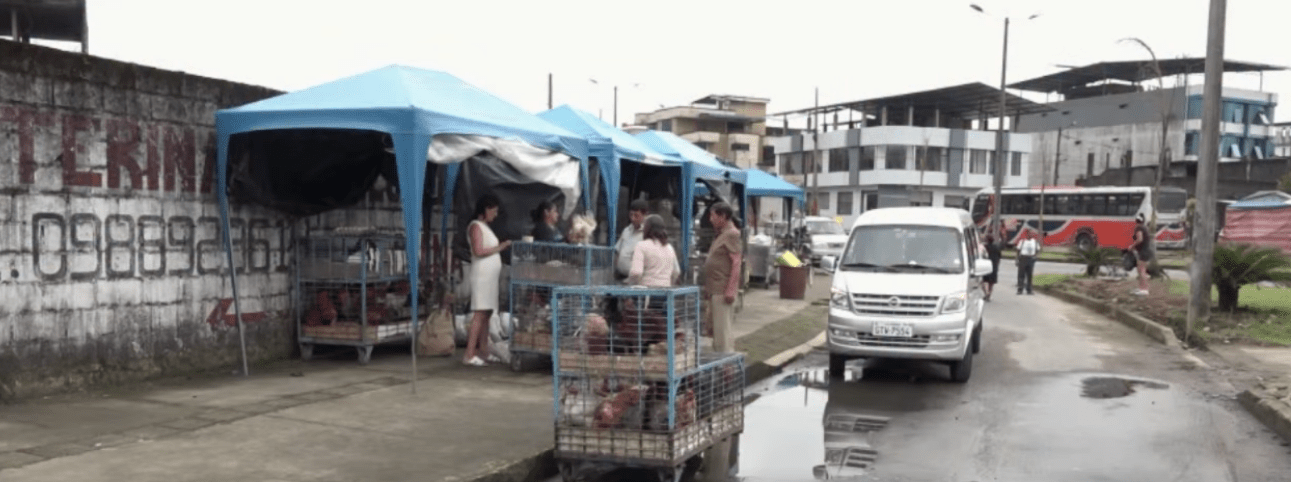 LA ASOCIACIÓN PAVO REAL FUE REUBICADA POR LAS FIESTAS